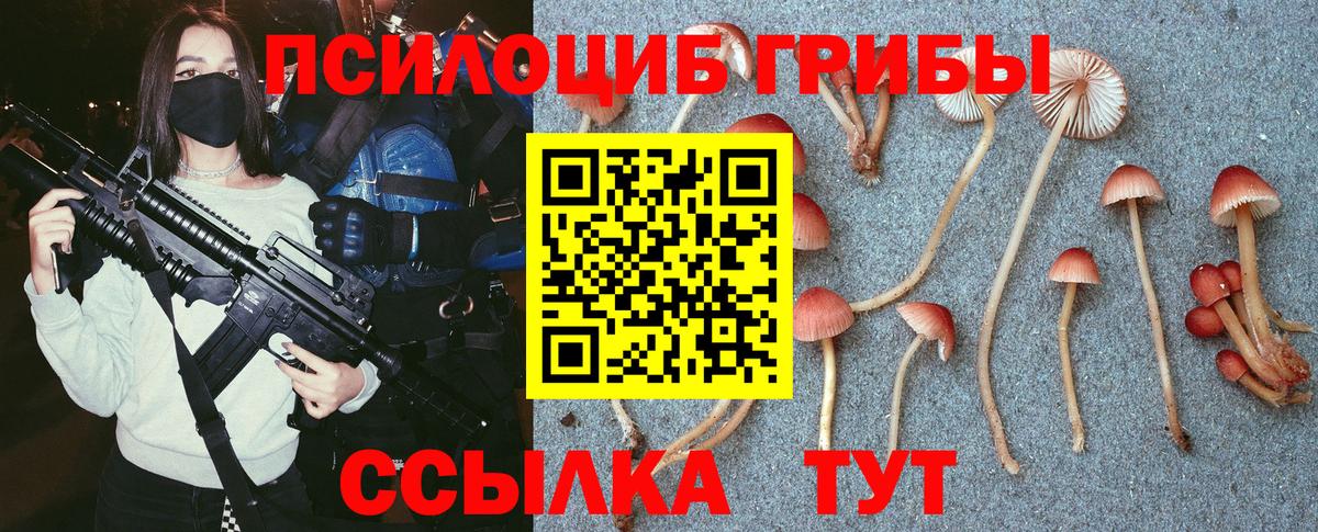 Псилоцибиновые грибы Magic Shrooms Сорочинск