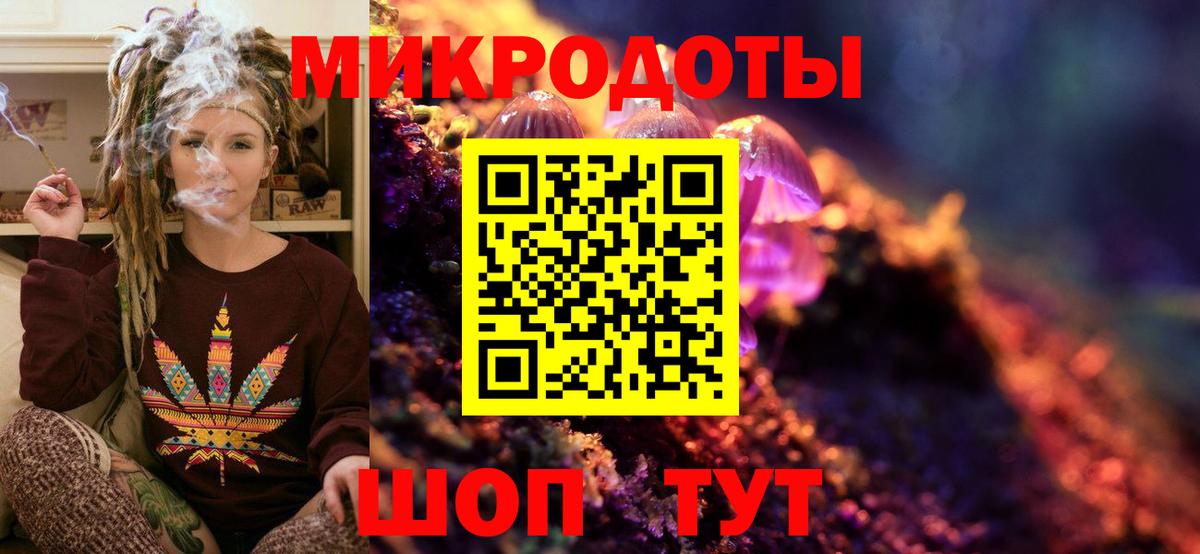 Сорочинск  Галлюциногенные грибы Psilocybine cubensis  Вход с VPN 